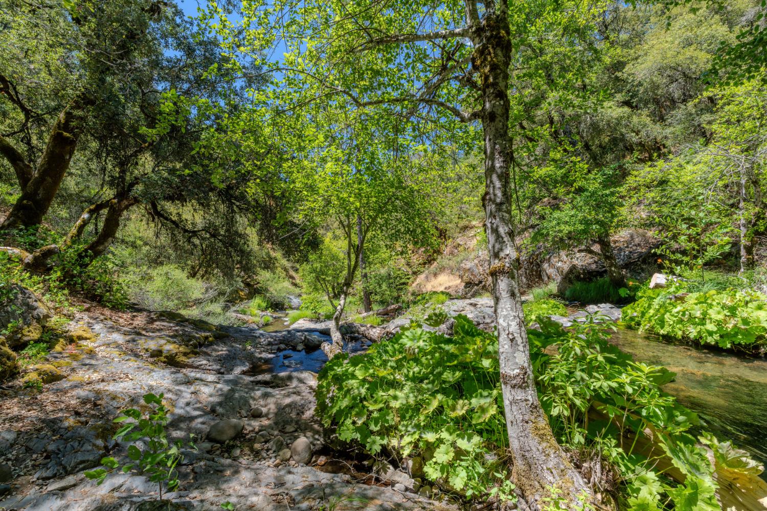 Detail Gallery Image 63 of 91 For 7401 Schaad Rd, Wilseyville,  CA 95257 - 2 Beds | 2 Baths