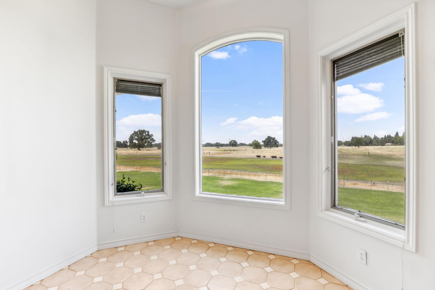 Detail Gallery Image 11 of 51 For 11255 Green Rd, Wilton,  CA 95693 - 4 Beds | 3/1 Baths
