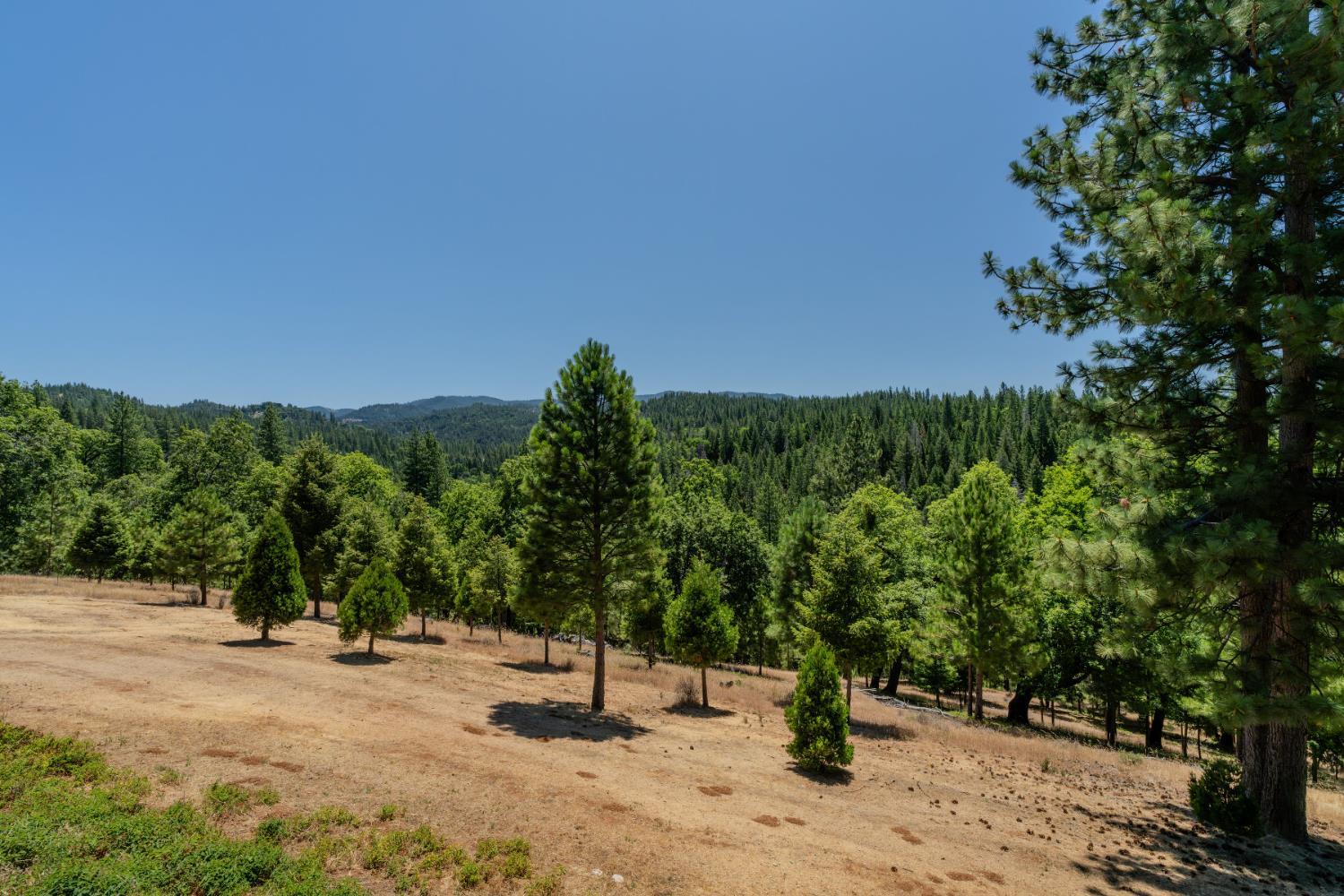 Detail Gallery Image 49 of 91 For 7401 Schaad Rd, Wilseyville,  CA 95257 - 2 Beds | 2 Baths