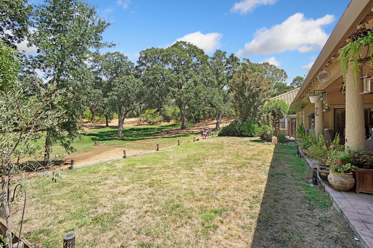 Detail Gallery Image 38 of 44 For 1109 Oak View Dr, Ione,  CA 95640 - 3 Beds | 3 Baths