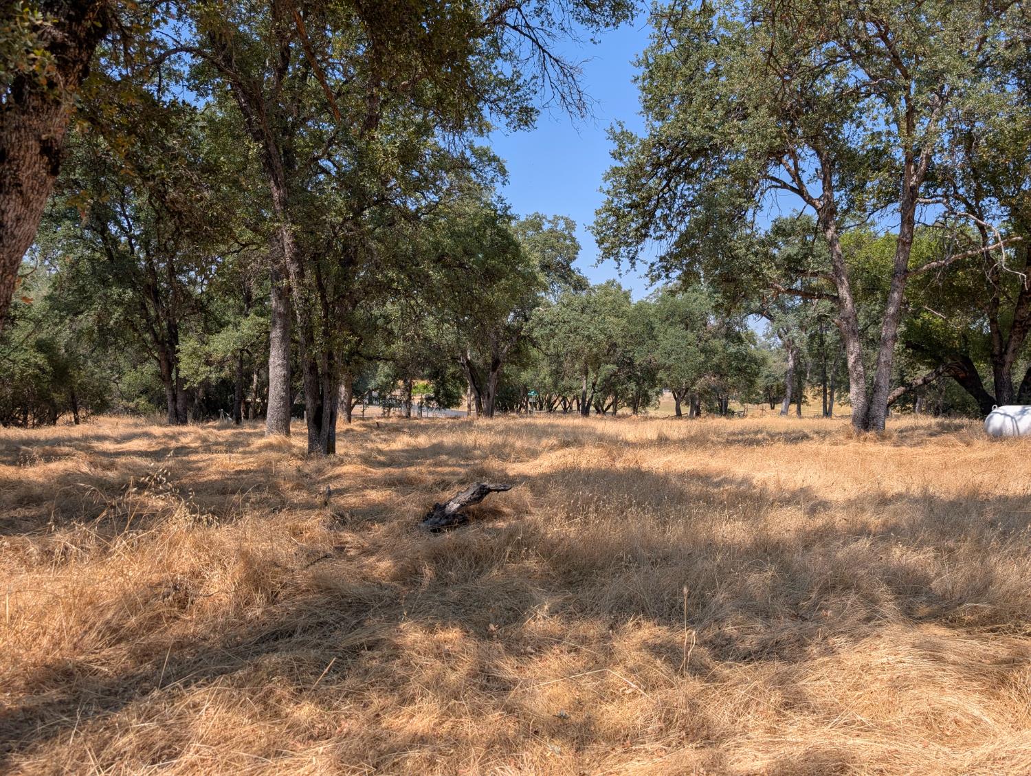 Detail Gallery Image 5 of 15 For 18340 Henry D. Ct, Sonora,  CA 95270 - – Beds | – Baths