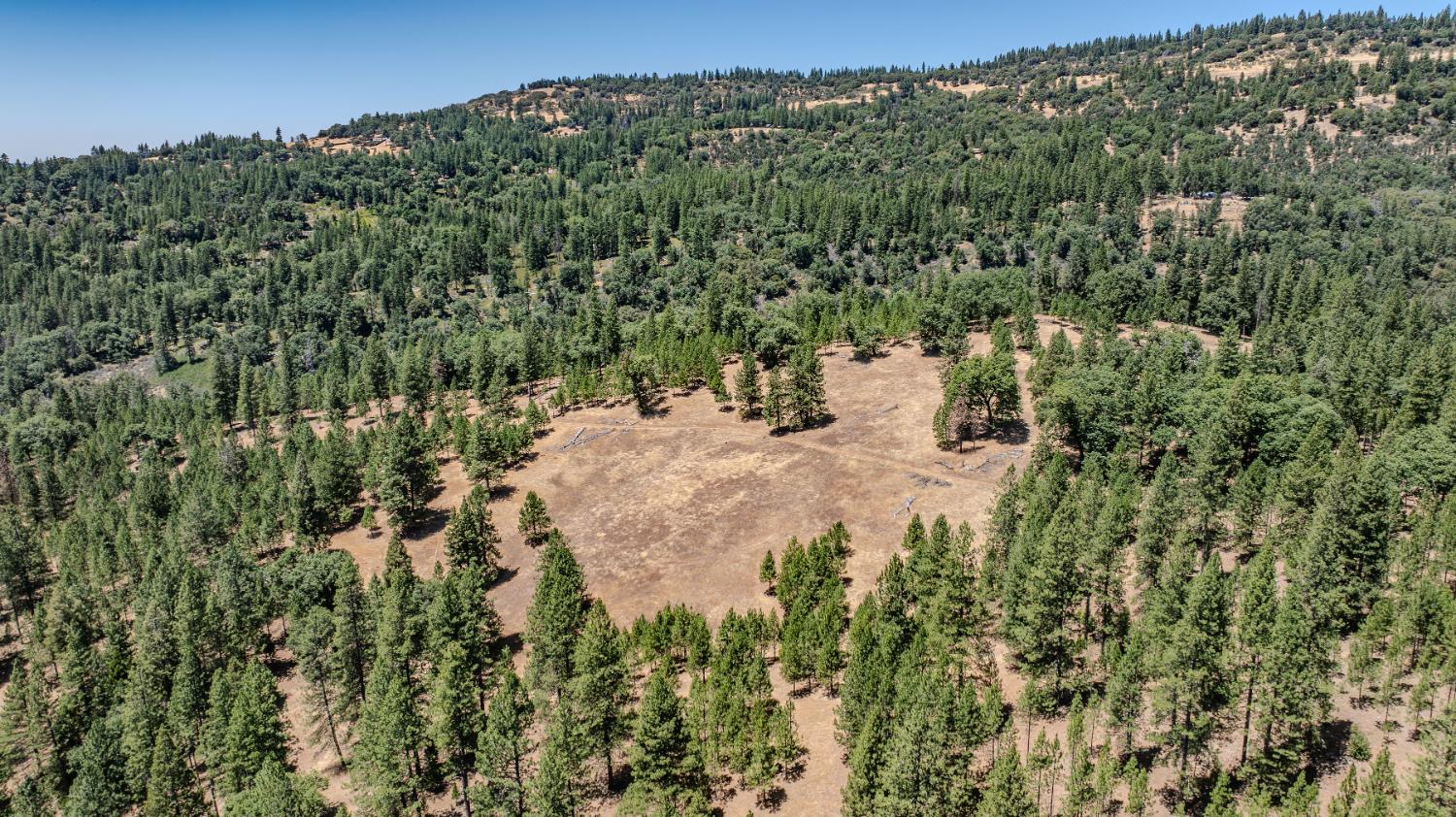 Detail Gallery Image 91 of 91 For 7401 Schaad Rd, Wilseyville,  CA 95257 - 2 Beds | 2 Baths