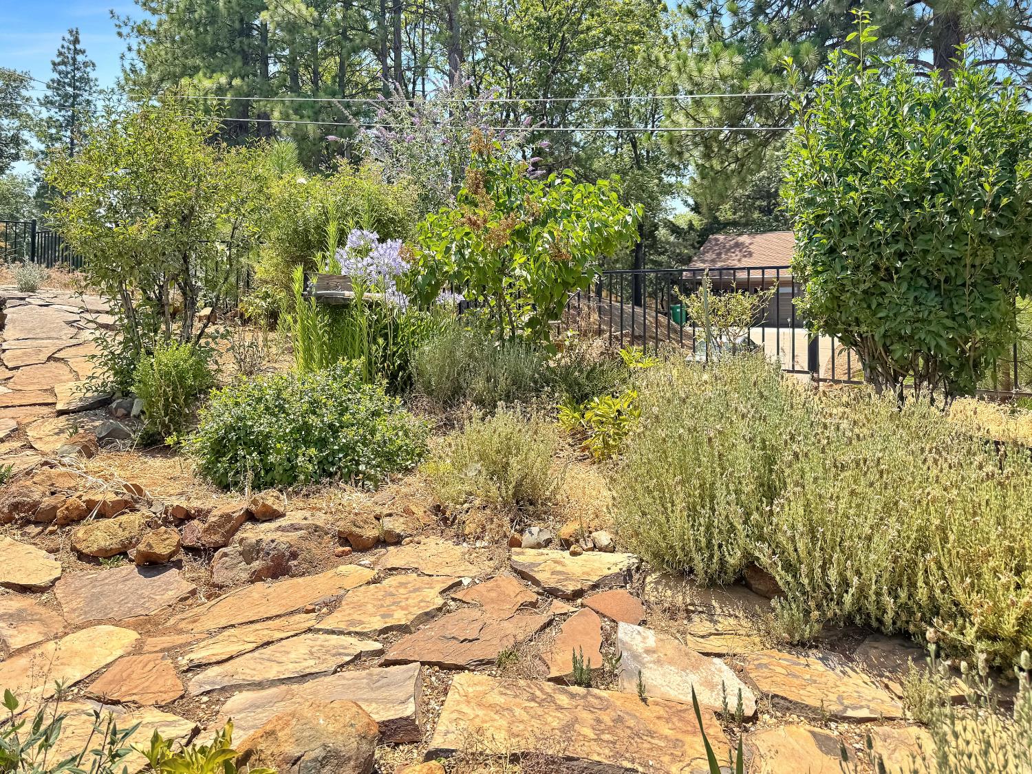 Detail Gallery Image 32 of 38 For 16169 Tina Ct, Grass Valley,  CA 95945 - 3 Beds | 3 Baths