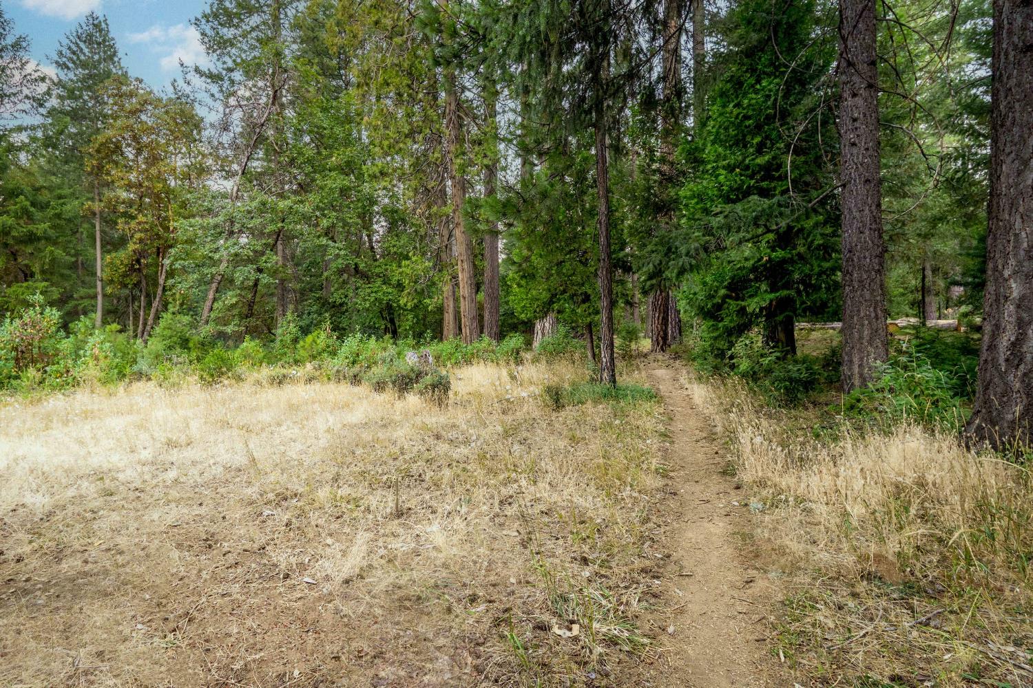 Detail Gallery Image 9 of 46 For 14437 Marysville Rd 35, Camptonville,  CA 95922 - 2 Beds | 2 Baths