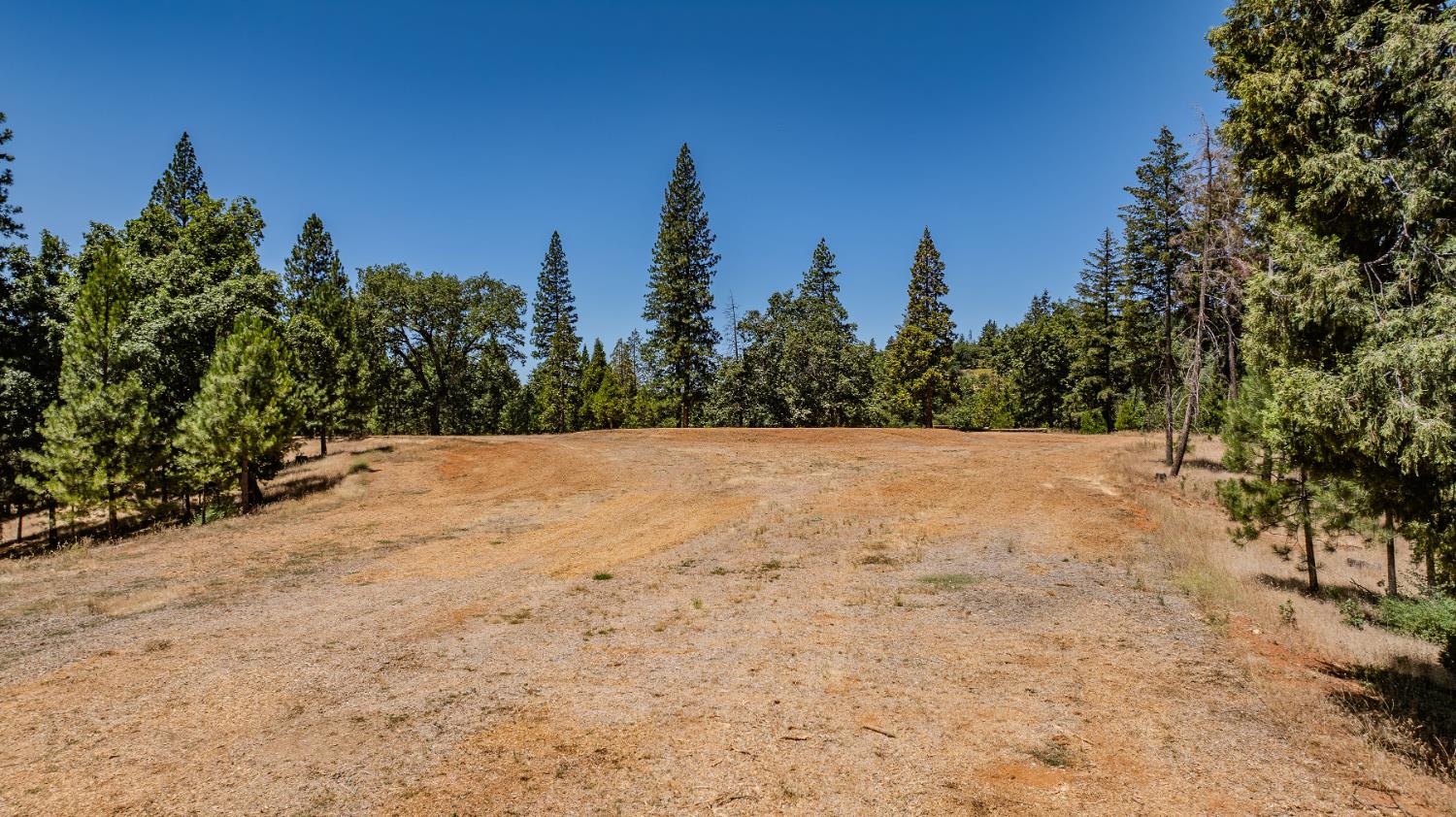 Detail Gallery Image 86 of 91 For 7401 Schaad Rd, Wilseyville,  CA 95257 - 2 Beds | 2 Baths