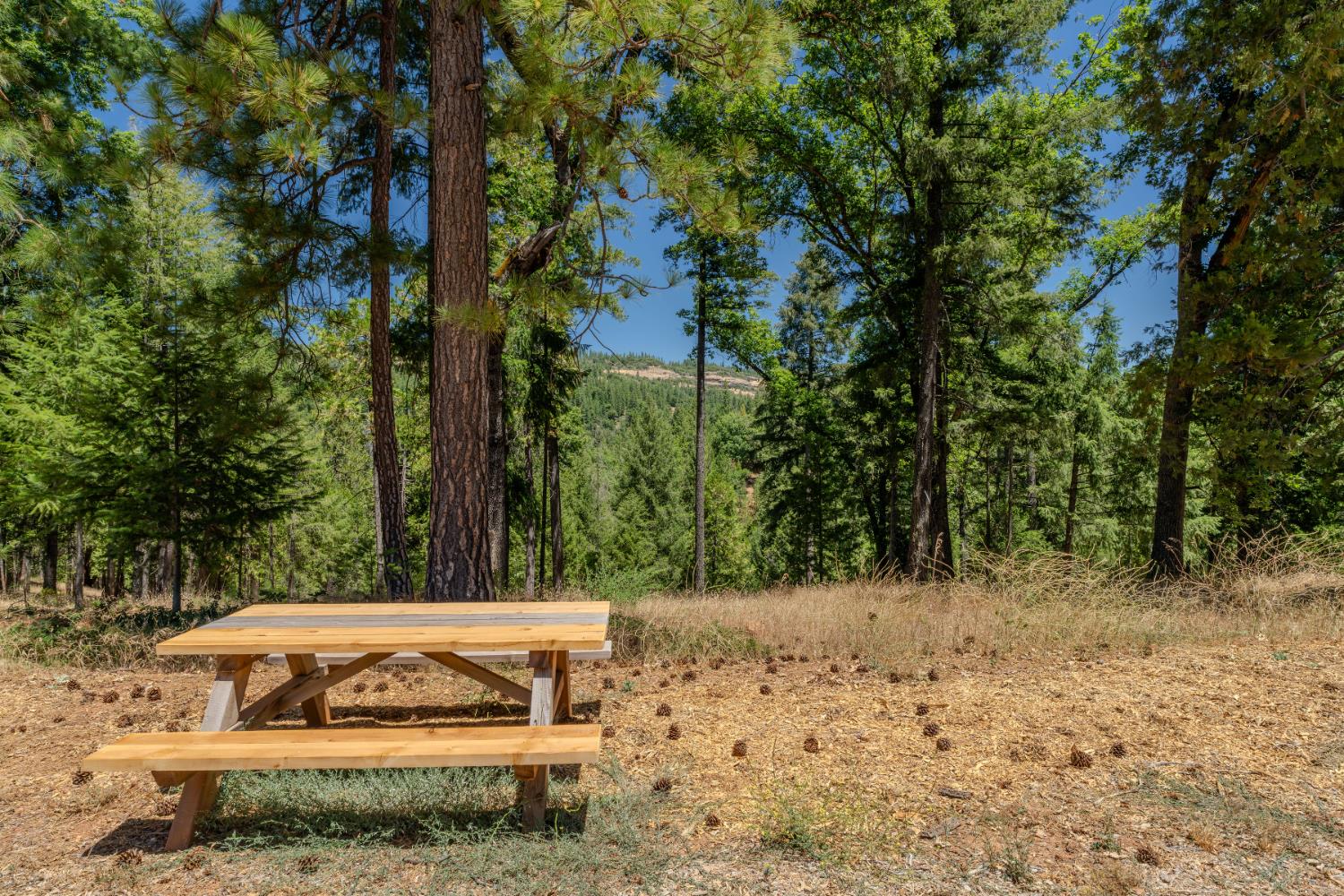 Detail Gallery Image 71 of 91 For 7401 Schaad Rd, Wilseyville,  CA 95257 - 2 Beds | 2 Baths