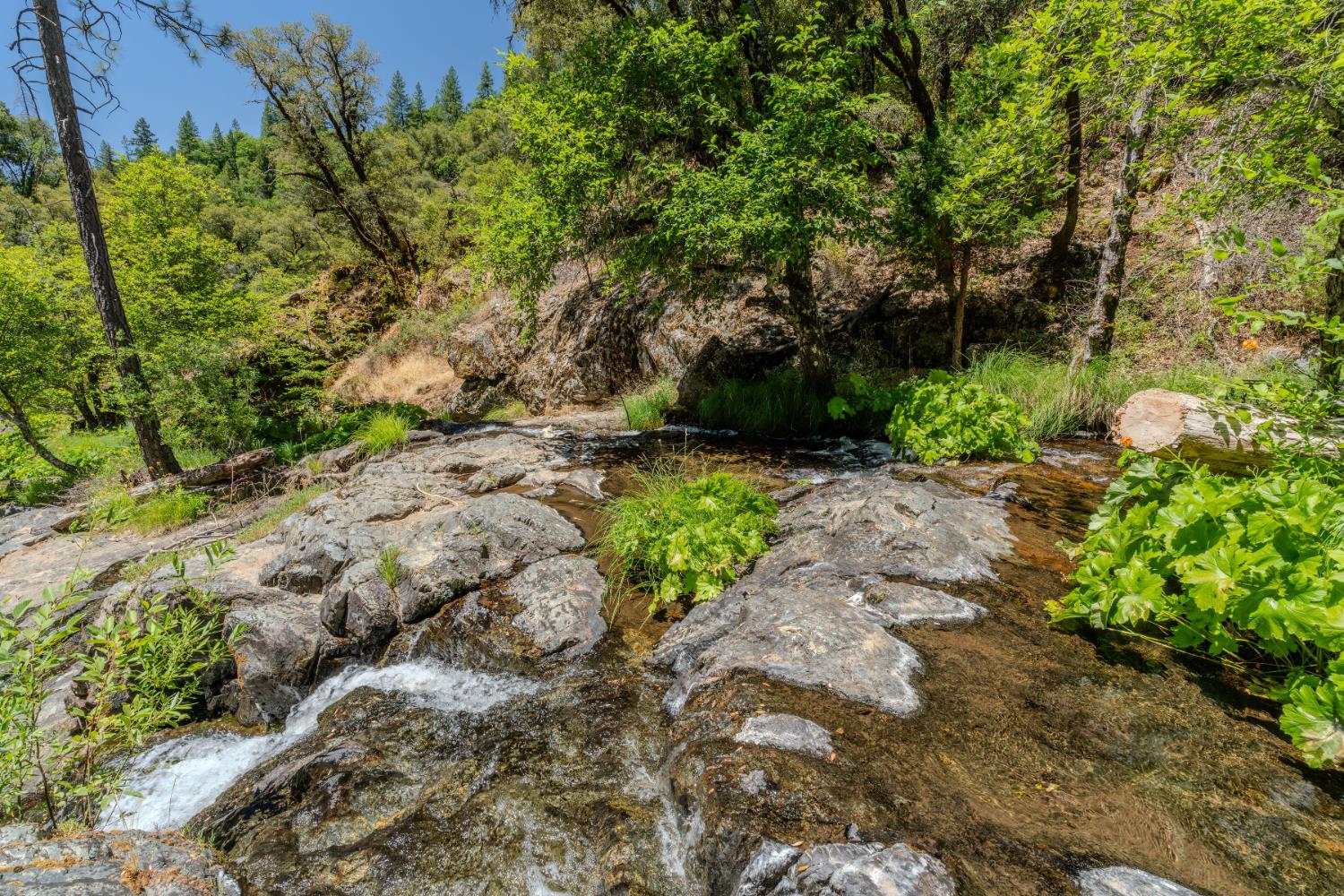 Detail Gallery Image 69 of 91 For 7401 Schaad Rd, Wilseyville,  CA 95257 - 2 Beds | 2 Baths