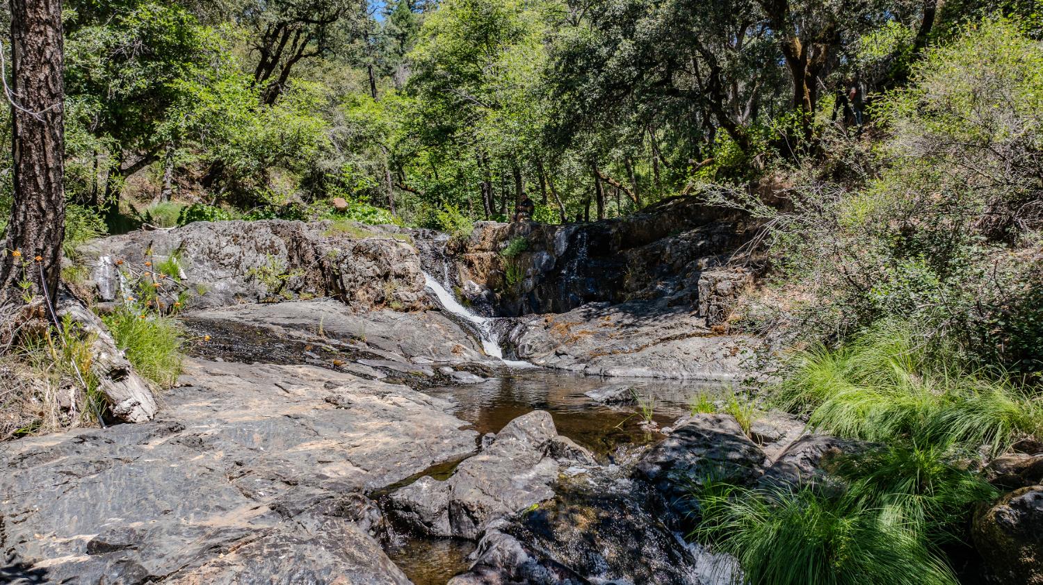 Detail Gallery Image 64 of 91 For 7401 Schaad Rd, Wilseyville,  CA 95257 - 2 Beds | 2 Baths