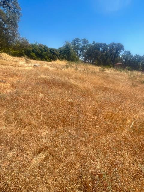 Detail Gallery Image 8 of 11 For 140 Loma Vista Dr, Oroville,  CA 95966 - – Beds | – Baths