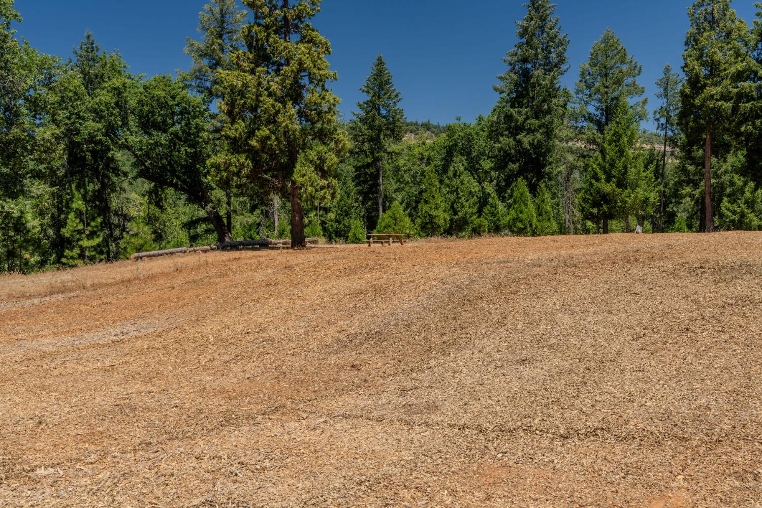 Detail Gallery Image 73 of 91 For 7401 Schaad Rd, Wilseyville,  CA 95257 - 2 Beds | 2 Baths