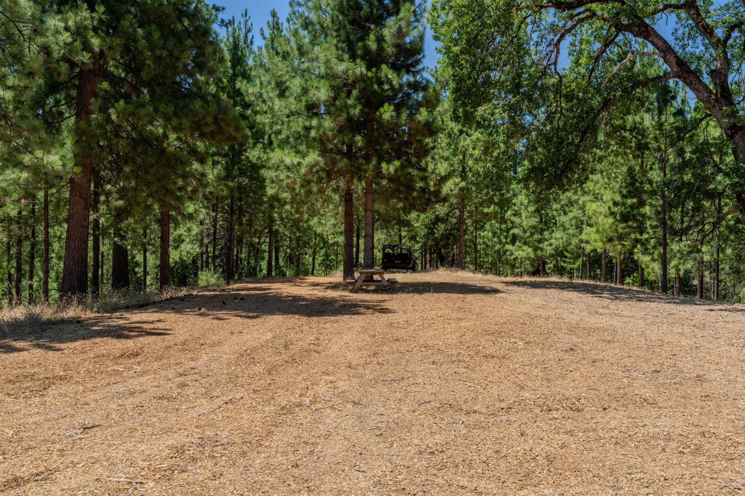 Detail Gallery Image 72 of 91 For 7401 Schaad Rd, Wilseyville,  CA 95257 - 2 Beds | 2 Baths
