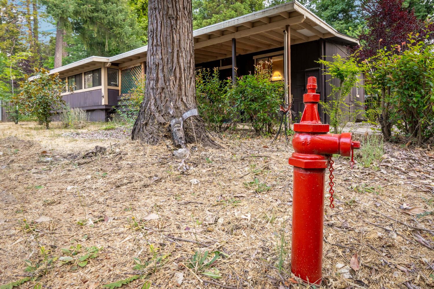 Detail Gallery Image 42 of 46 For 14437 Marysville Rd 35, Camptonville,  CA 95922 - 2 Beds | 2 Baths