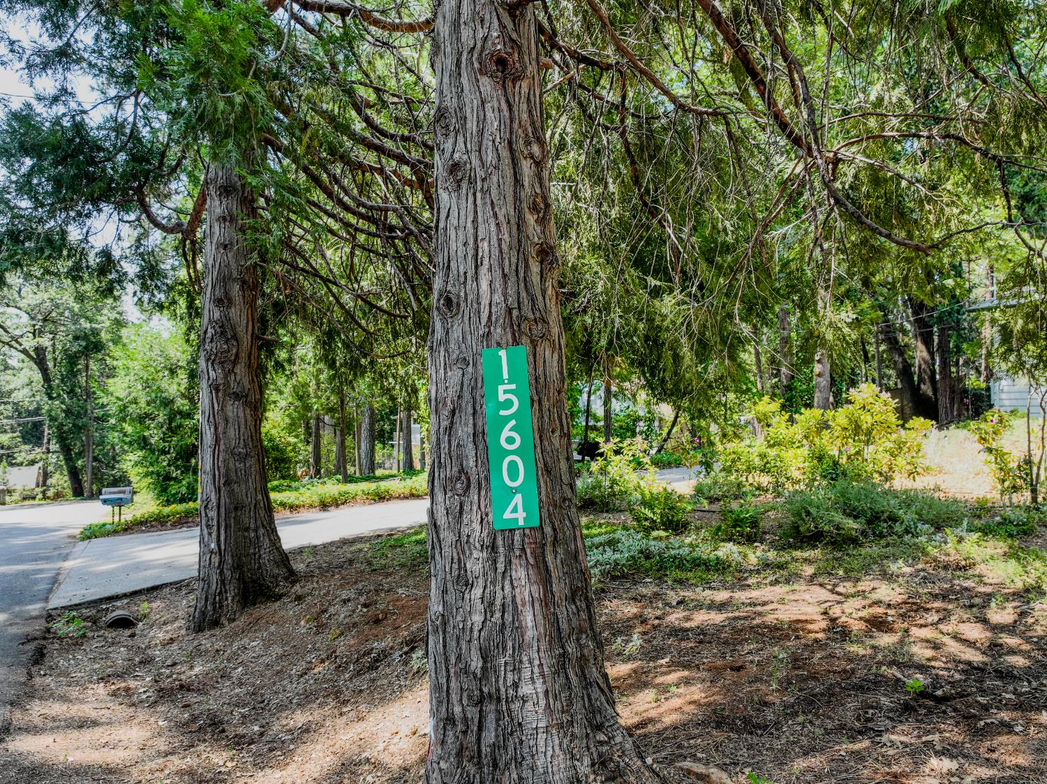 Detail Gallery Image 29 of 43 For 15604 Ridge Estates Rd, Nevada City,  CA 95959 - 2 Beds | 1/1 Baths
