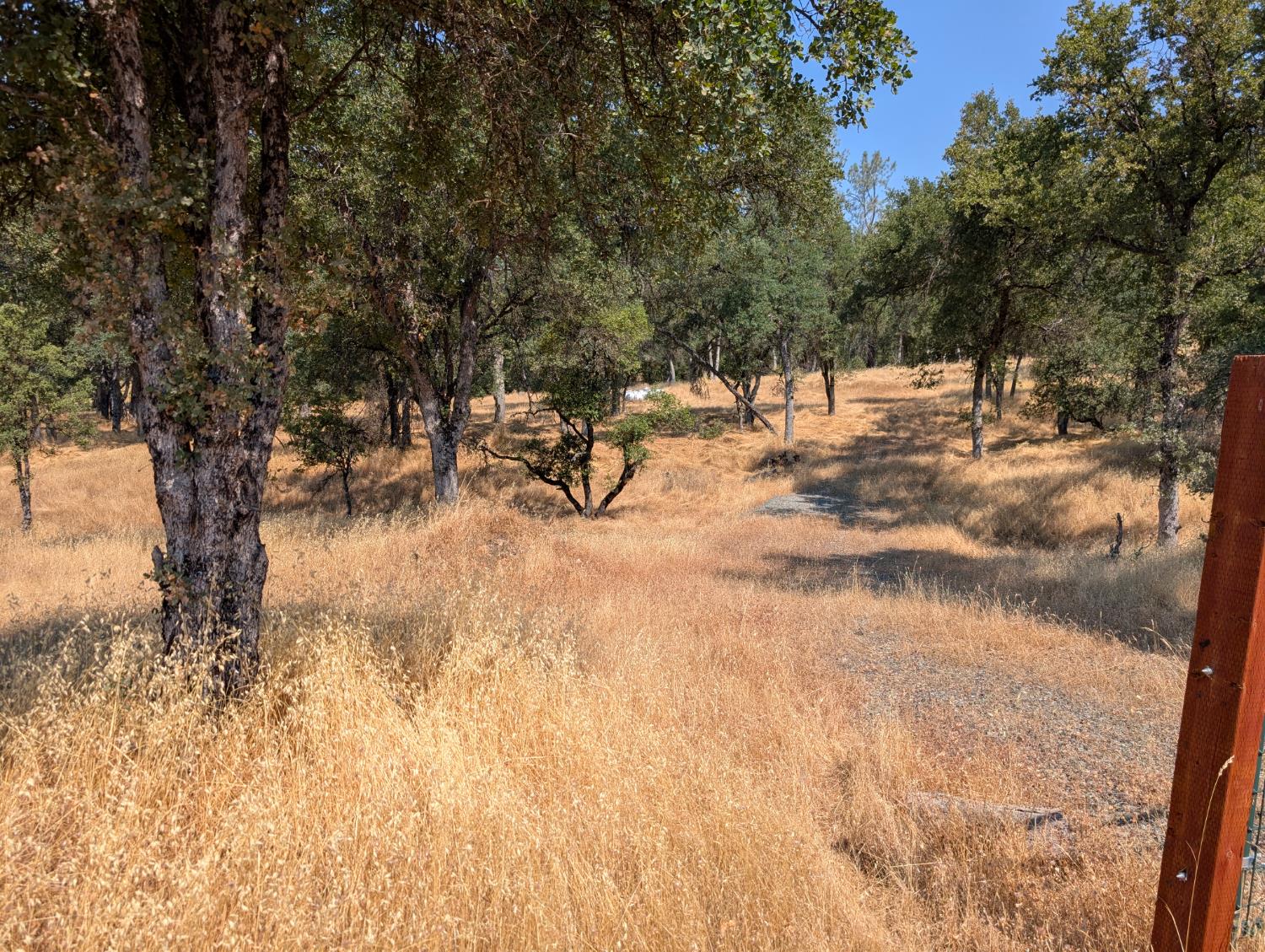 Detail Gallery Image 12 of 15 For 18340 Henry D. Ct, Sonora,  CA 95270 - – Beds | – Baths