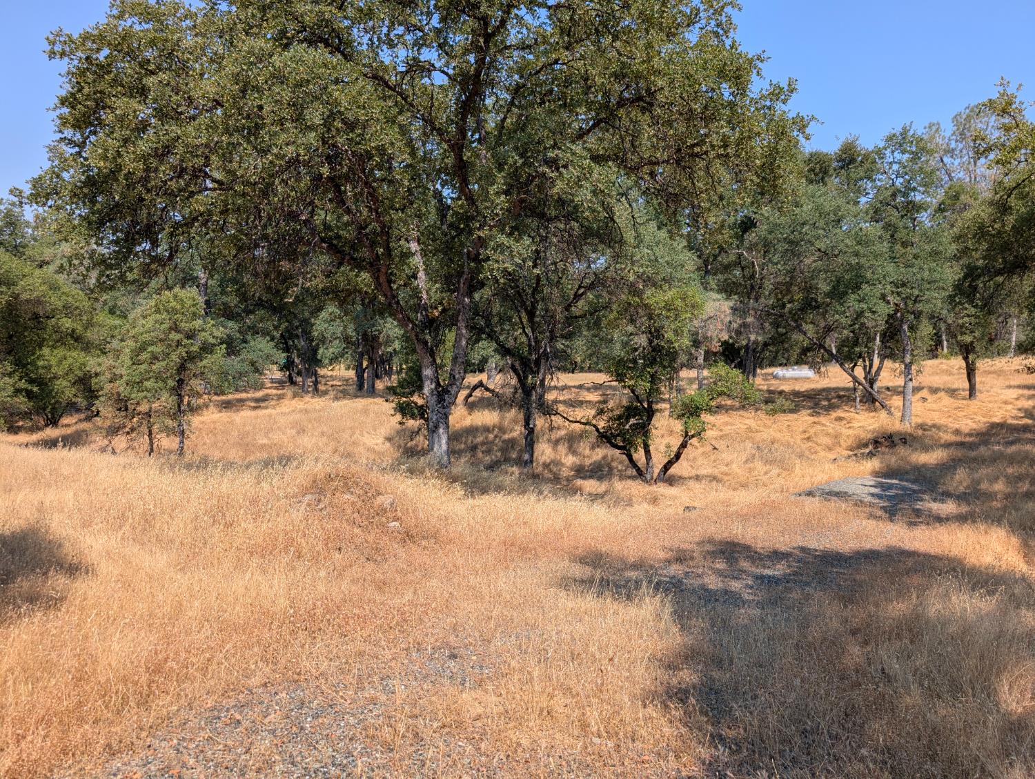 Detail Gallery Image 3 of 15 For 18340 Henry D. Ct, Sonora,  CA 95270 - – Beds | – Baths