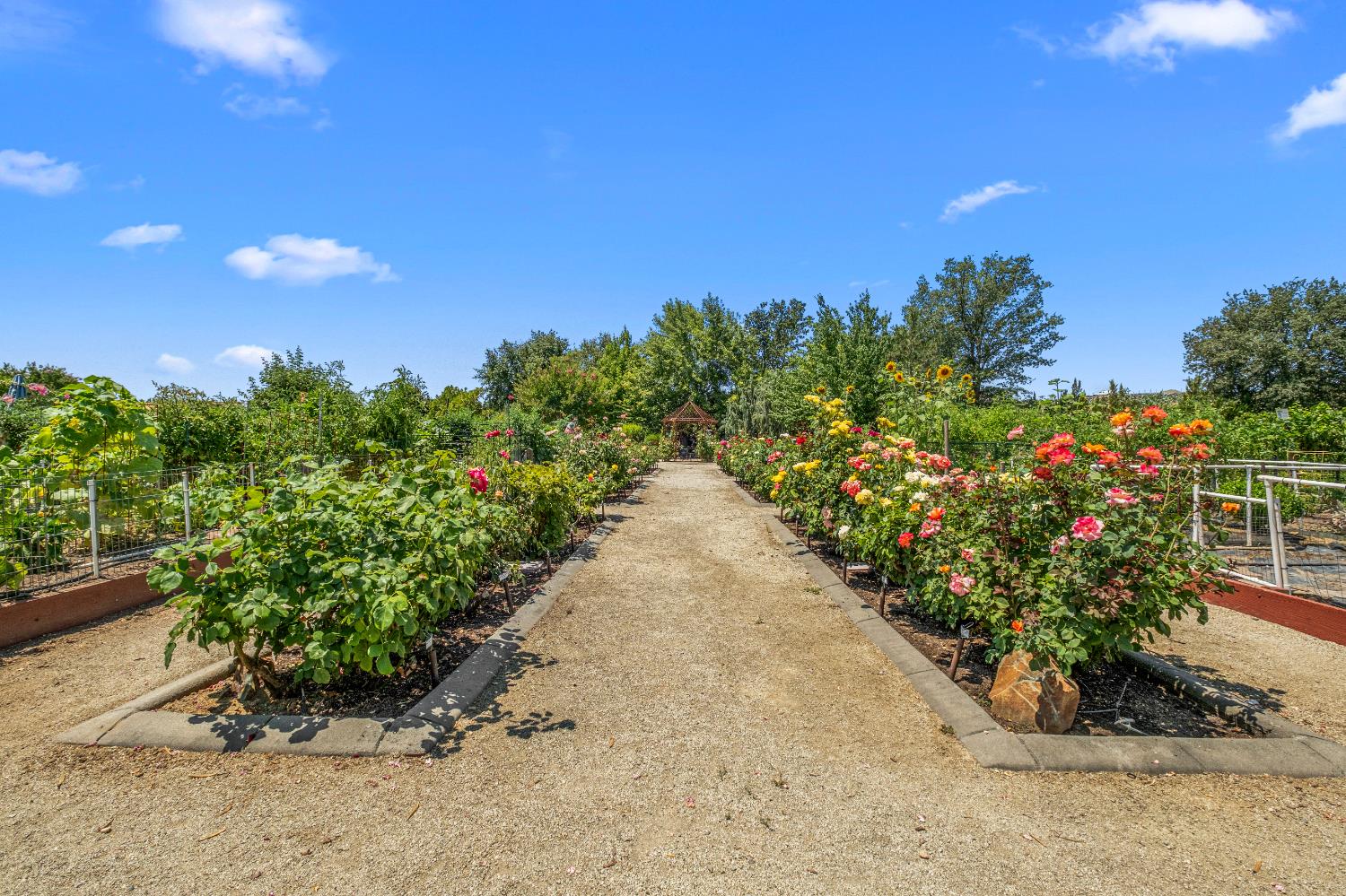 Detail Gallery Image 77 of 82 For 9544 Sun Poppy Way, El Dorado Hills,  CA 95762 - 2 Beds | 2/1 Baths