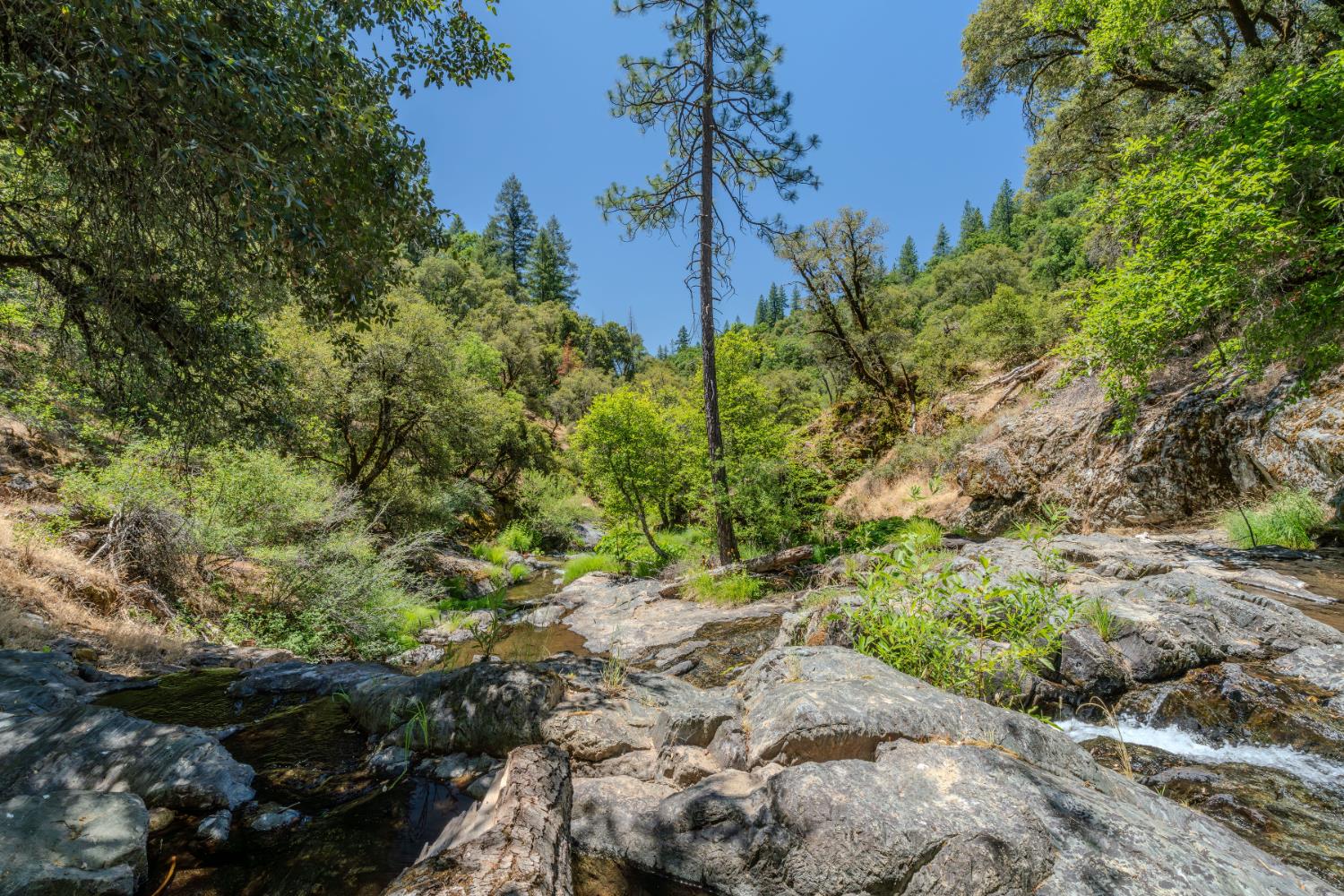 Detail Gallery Image 70 of 91 For 7401 Schaad Rd, Wilseyville,  CA 95257 - 2 Beds | 2 Baths