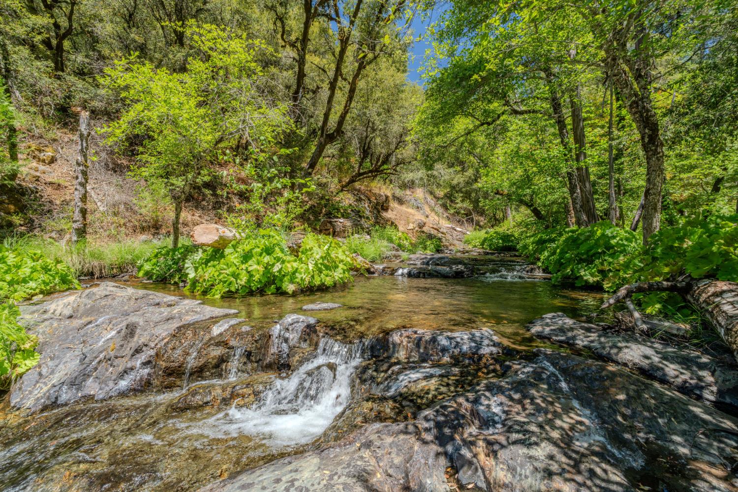 Detail Gallery Image 3 of 91 For 7401 Schaad Rd, Wilseyville,  CA 95257 - 2 Beds | 2 Baths