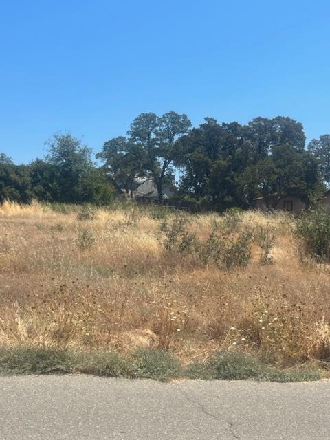 Detail Gallery Image 11 of 11 For 140 Loma Vista Dr, Oroville,  CA 95966 - – Beds | – Baths