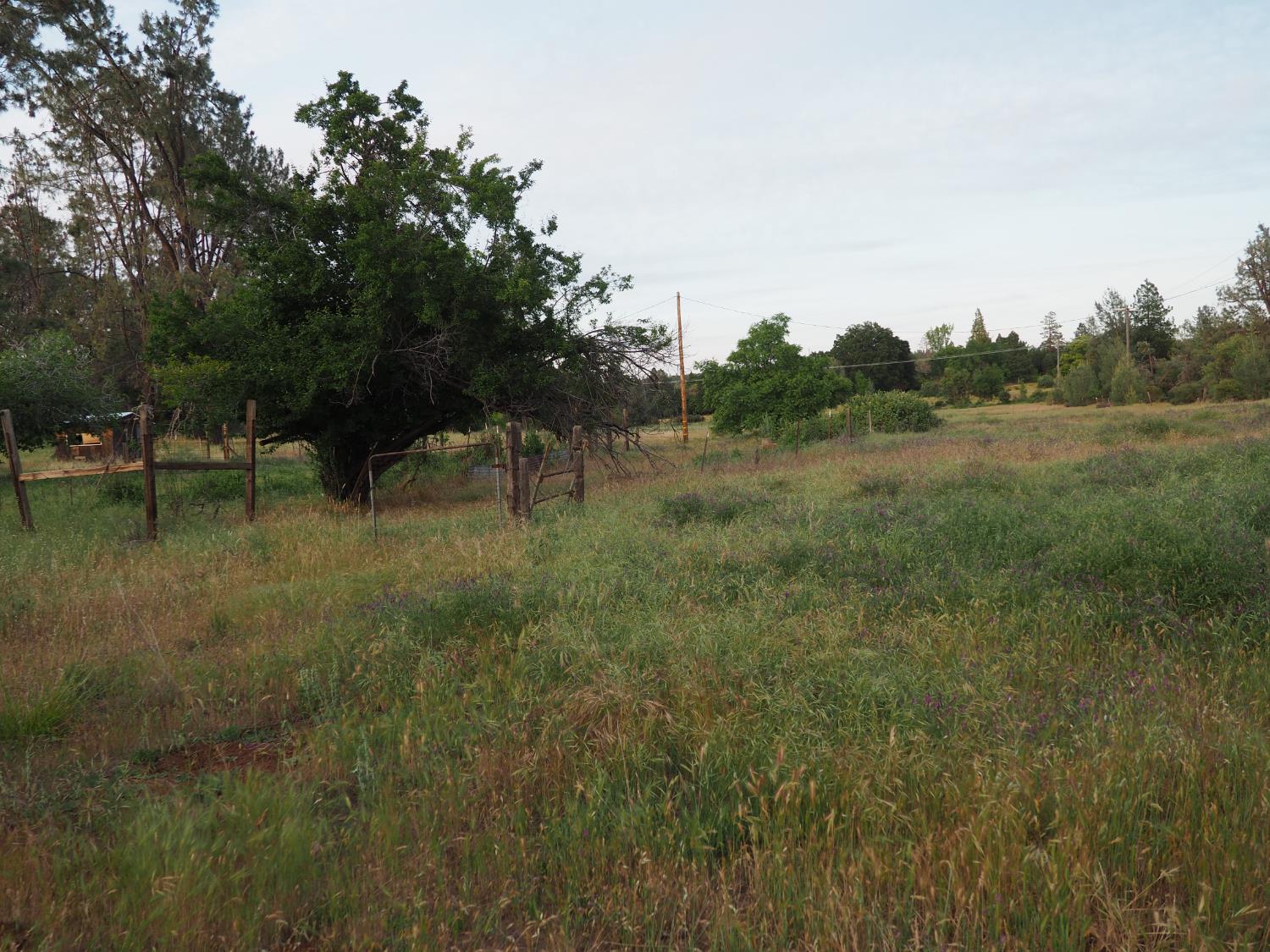 Detail Gallery Image 5 of 14 For 21705 S Powerhouse Rd, Manton,  CA 96059 - 2 Beds | 1 Baths