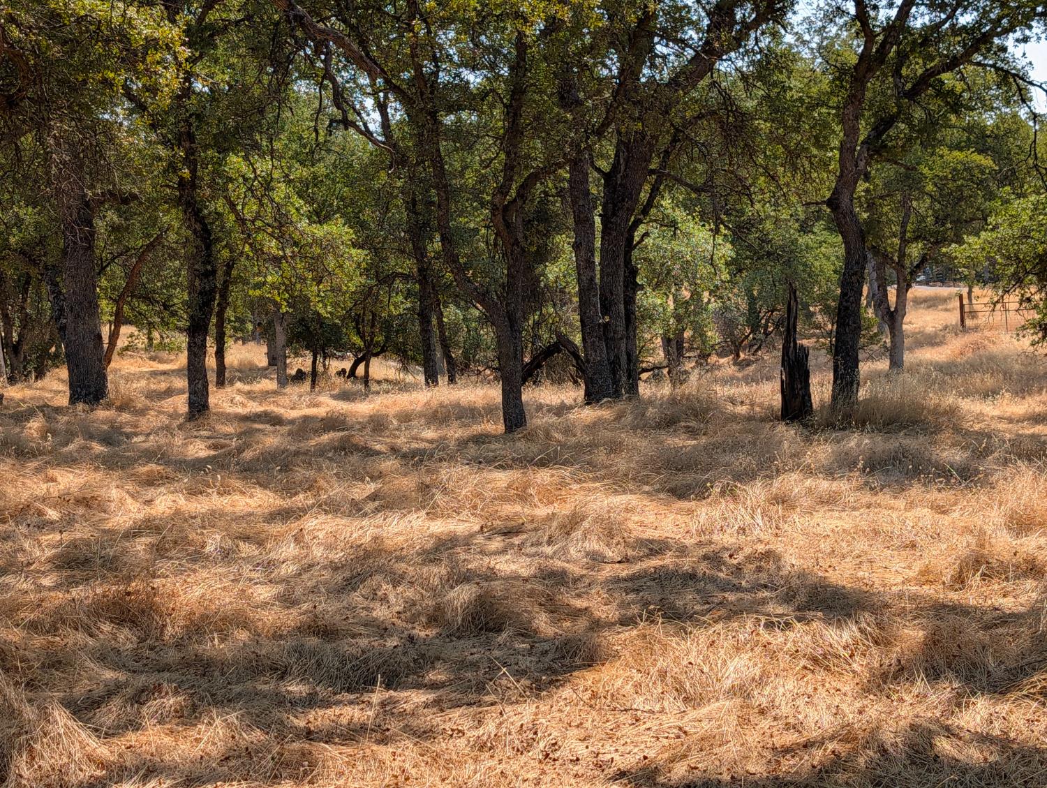 Detail Gallery Image 9 of 15 For 18340 Henry D. Ct, Sonora,  CA 95270 - – Beds | – Baths
