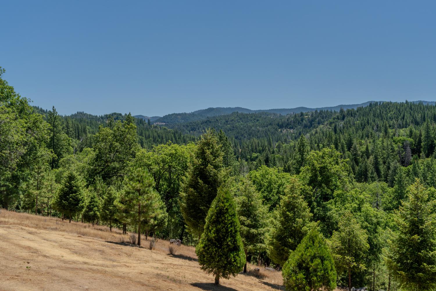 Detail Gallery Image 51 of 91 For 7401 Schaad Rd, Wilseyville,  CA 95257 - 2 Beds | 2 Baths