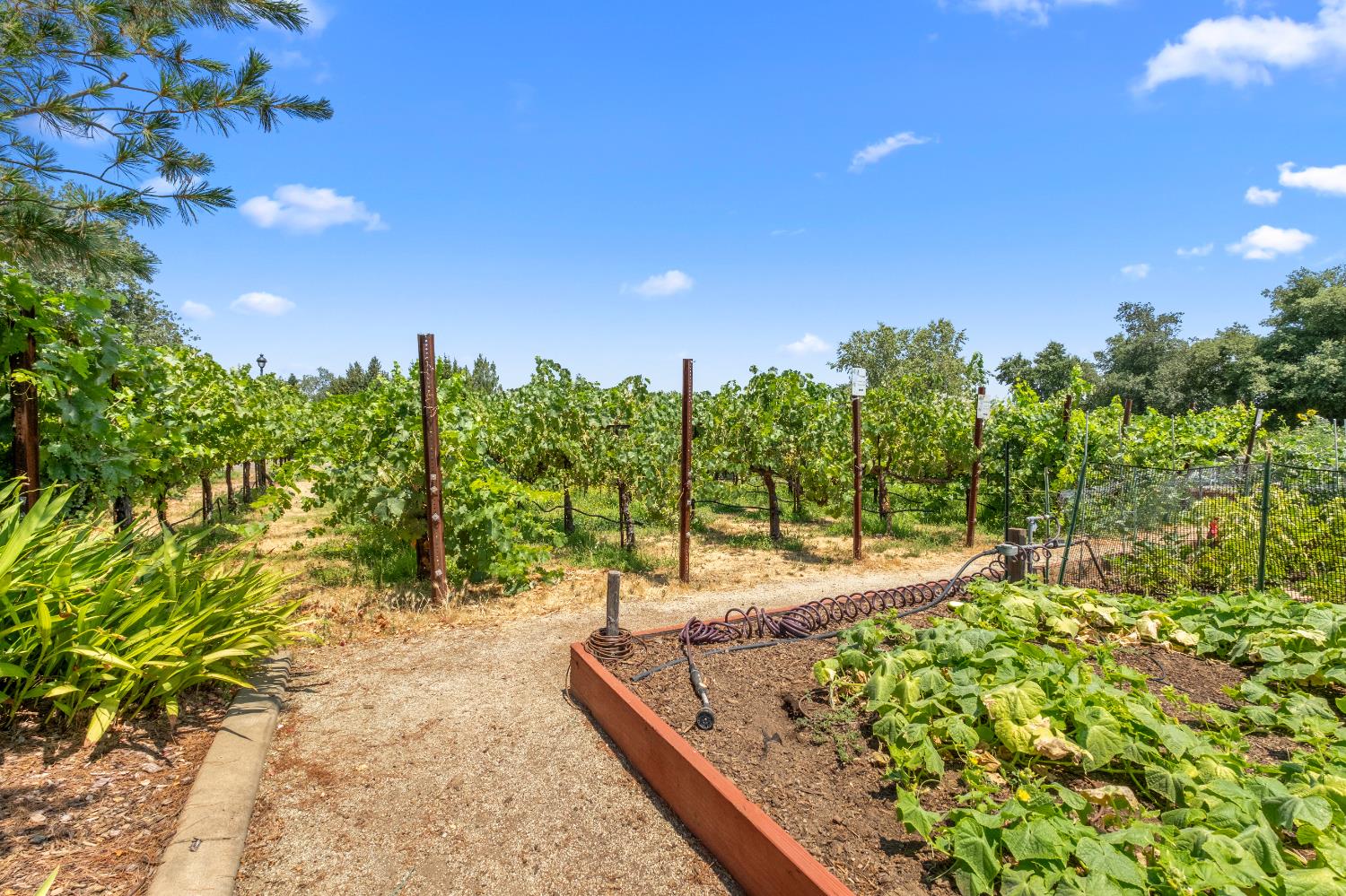 Detail Gallery Image 82 of 82 For 9544 Sun Poppy Way, El Dorado Hills,  CA 95762 - 2 Beds | 2/1 Baths