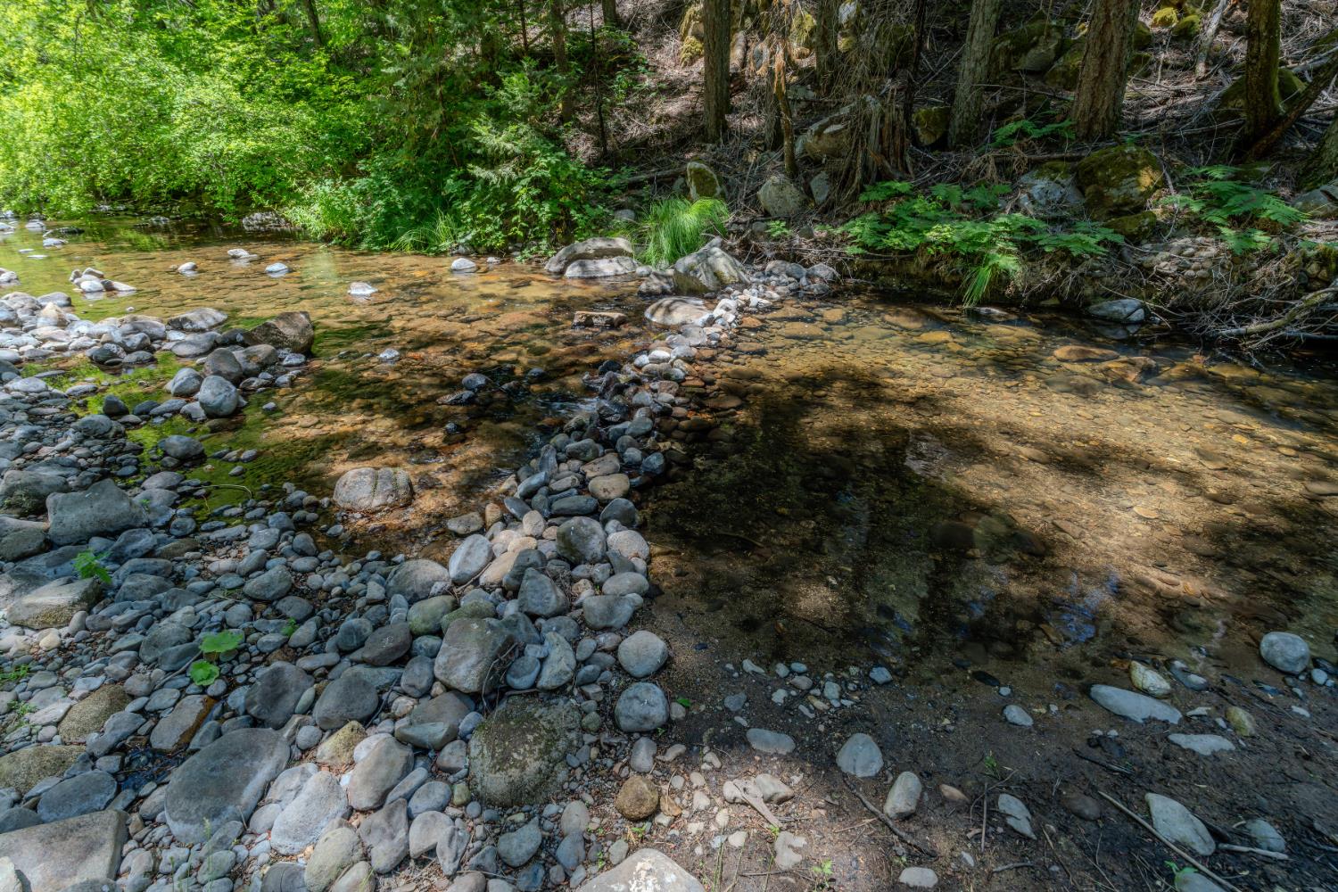 Detail Gallery Image 81 of 91 For 7401 Schaad Rd, Wilseyville,  CA 95257 - 2 Beds | 2 Baths