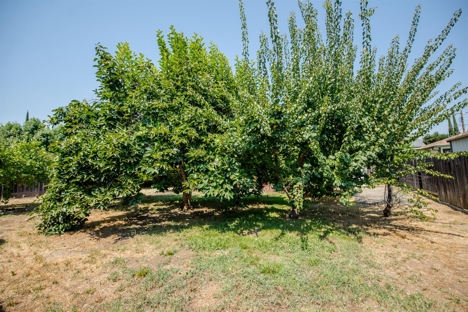 Detail Gallery Image 33 of 43 For 204 Emery St, Winters,  CA 95694 - 3 Beds | 2 Baths