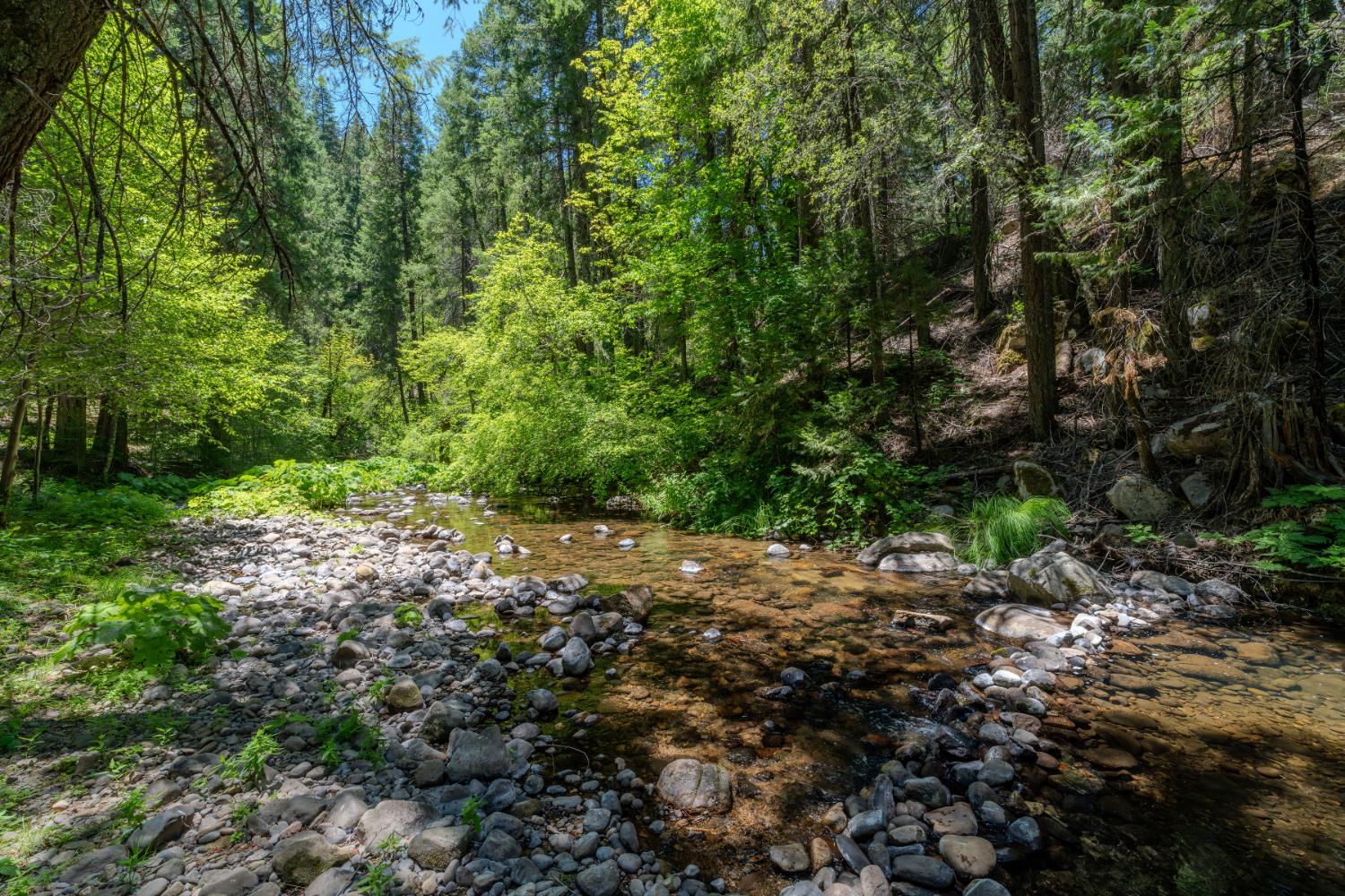 Detail Gallery Image 79 of 91 For 7401 Schaad Rd, Wilseyville,  CA 95257 - 2 Beds | 2 Baths