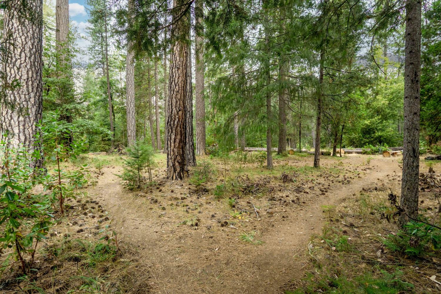 Detail Gallery Image 10 of 46 For 14437 Marysville Rd 35, Camptonville,  CA 95922 - 2 Beds | 2 Baths