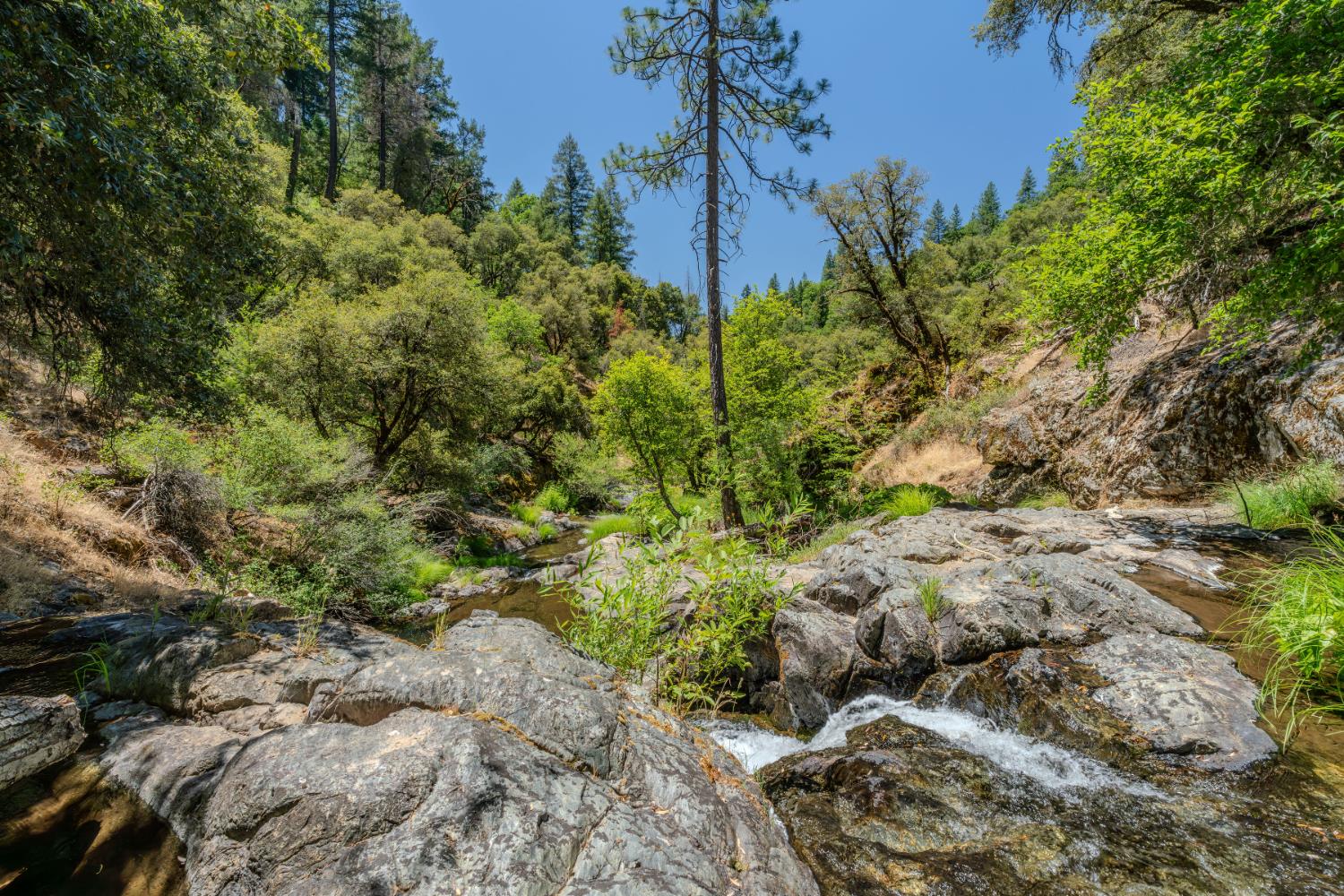 Detail Gallery Image 68 of 91 For 7401 Schaad Rd, Wilseyville,  CA 95257 - 2 Beds | 2 Baths