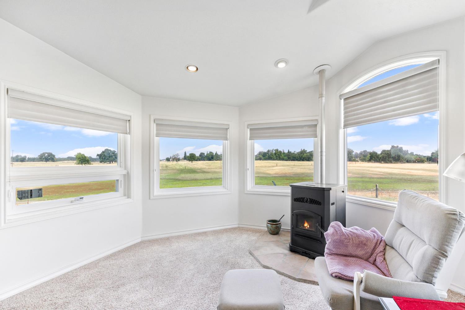 Detail Gallery Image 21 of 51 For 11255 Green Rd, Wilton,  CA 95693 - 4 Beds | 3/1 Baths