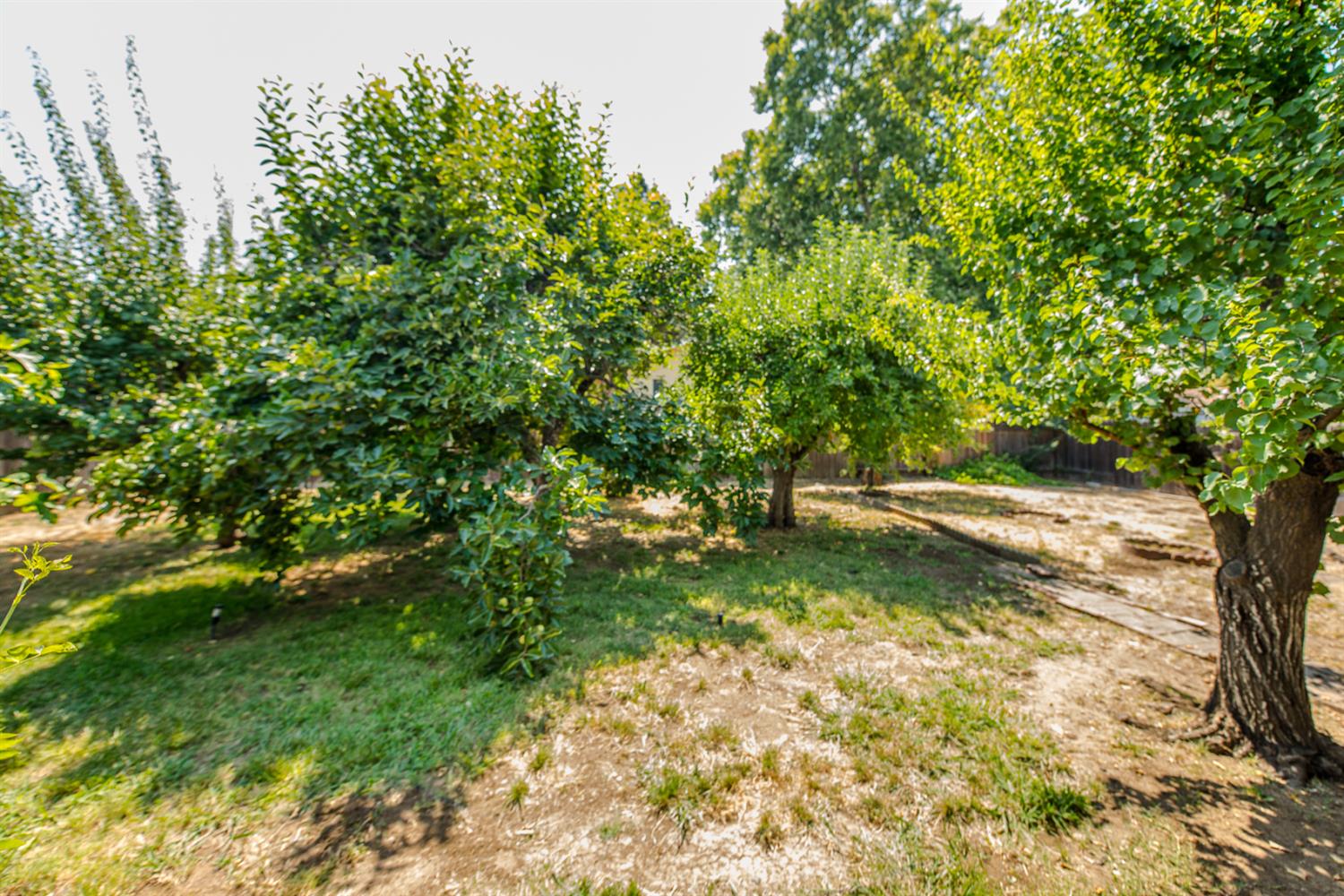 Detail Gallery Image 35 of 43 For 204 Emery St, Winters,  CA 95694 - 3 Beds | 2 Baths