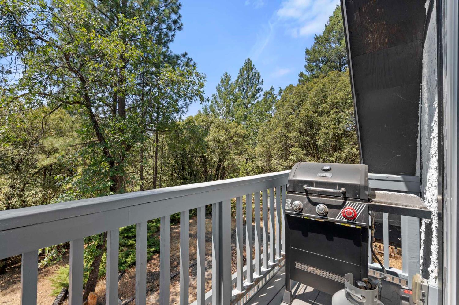 Detail Gallery Image 9 of 36 For 3360 Black Ridge Rd, Greenwood,  CA 95635 - 2 Beds | 1 Baths