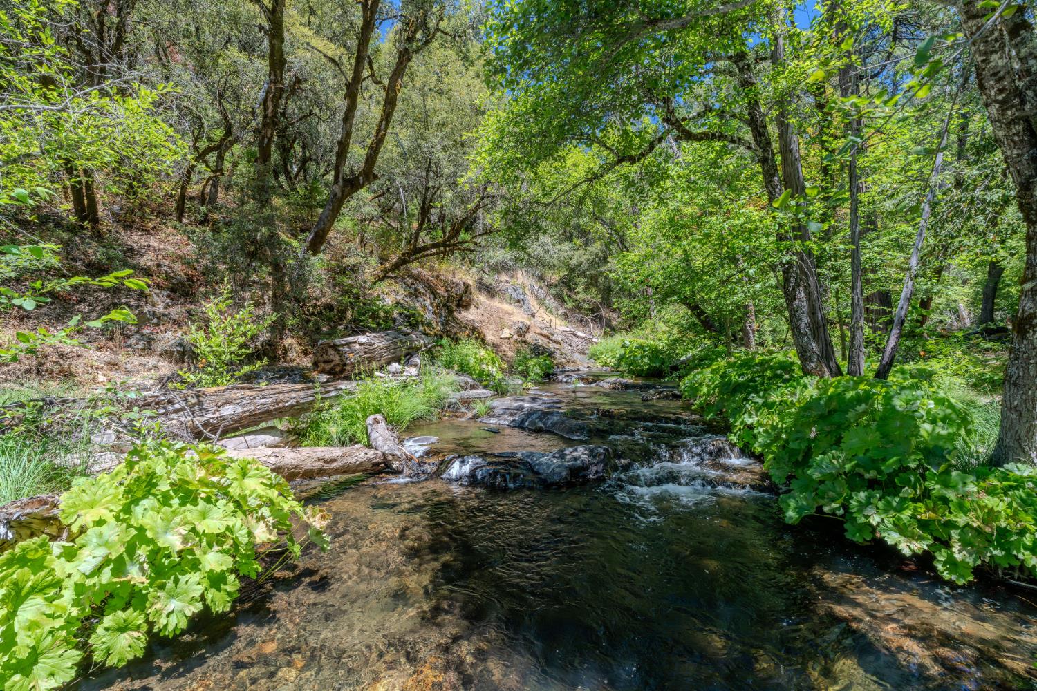 Detail Gallery Image 67 of 91 For 7401 Schaad Rd, Wilseyville,  CA 95257 - 2 Beds | 2 Baths