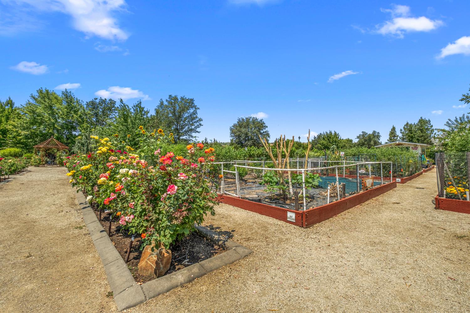 Detail Gallery Image 78 of 82 For 9544 Sun Poppy Way, El Dorado Hills,  CA 95762 - 2 Beds | 2/1 Baths