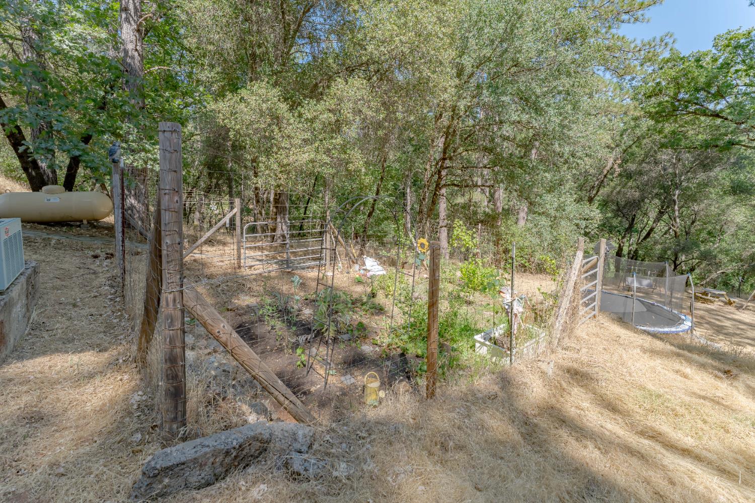 Detail Gallery Image 38 of 68 For 3980 Donner Trl, Placerville,  CA 95667 - 3 Beds | 2 Baths