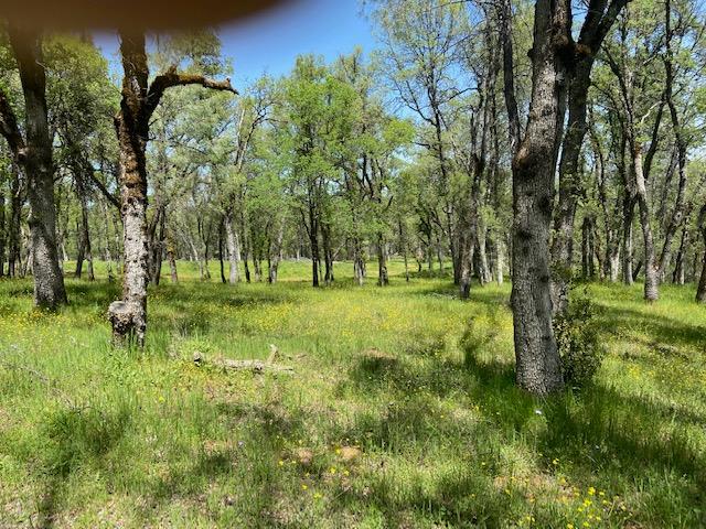 Detail Gallery Image 1 of 6 For 11560 Still Rd, Grass Valley,  CA 95949 - – Beds | – Baths