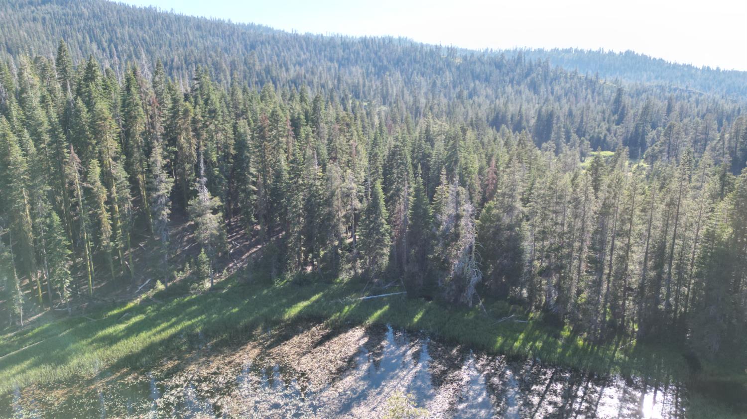 Detail Gallery Image 30 of 30 For 0 Forest 41 Rd, Soda Springs,  CA 95728 - – Beds | – Baths