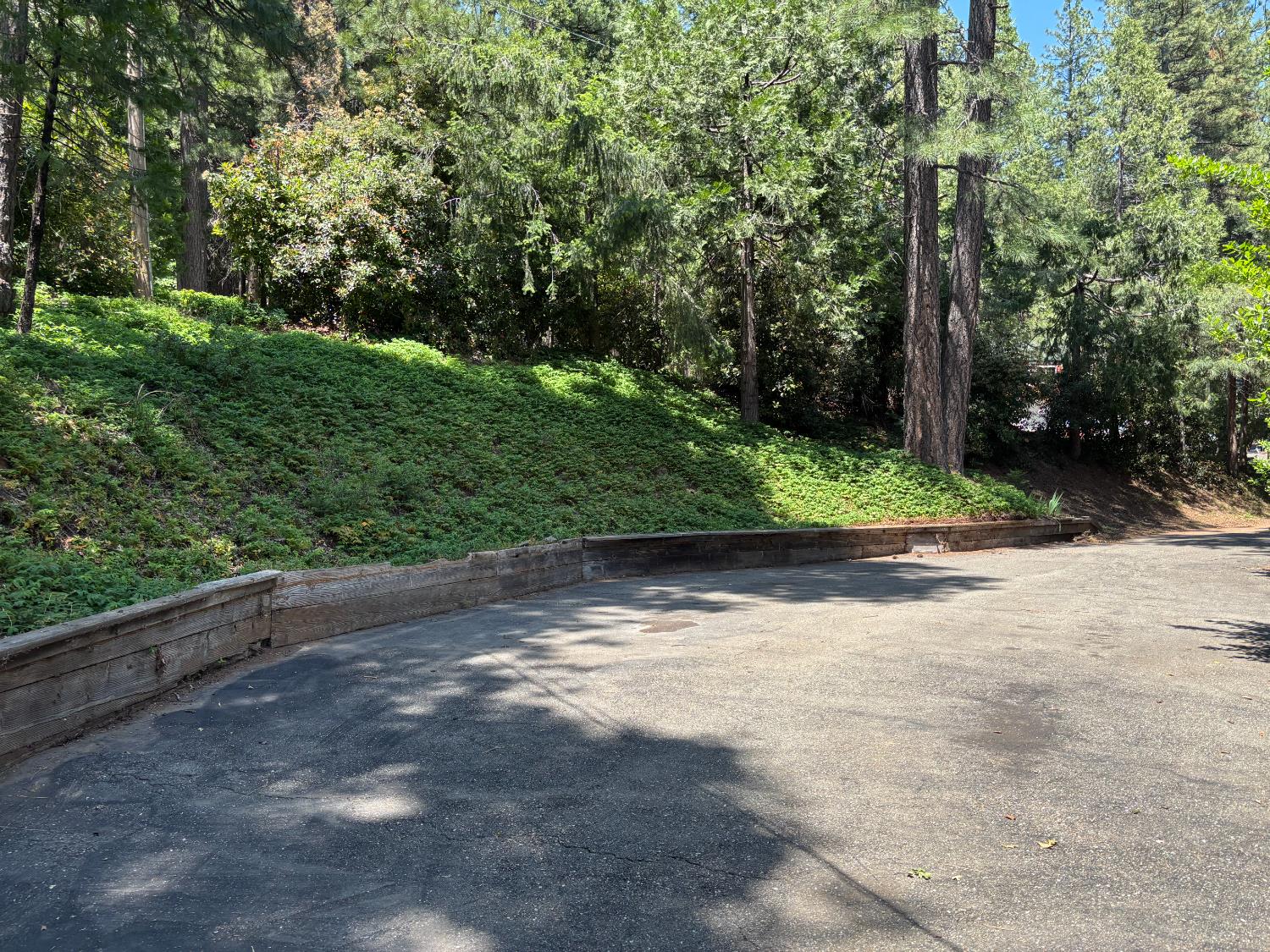 Detail Gallery Image 11 of 33 For 6730 Diamond Dr, Pollock Pines,  CA 95726 - 3 Beds | 2 Baths