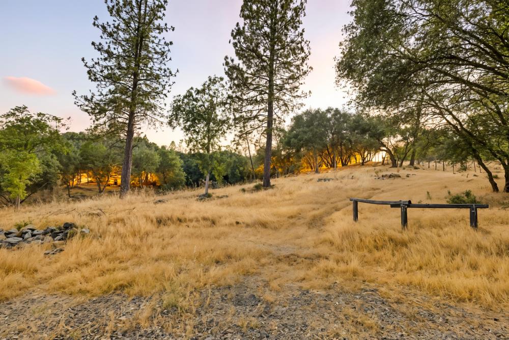 Detail Gallery Image 10 of 29 For 2660 Sleepy Hollow Dr, Shingle Springs,  CA 95682 - – Beds | – Baths