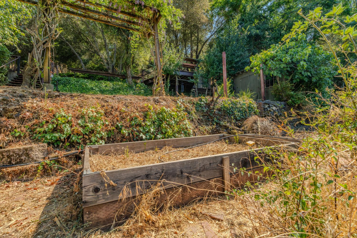 Detail Gallery Image 37 of 75 For 14385 Gods Hls, Amador City,  CA 95601 - 2 Beds | 2/1 Baths