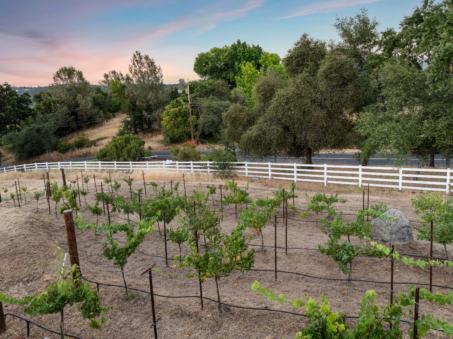Detail Gallery Image 66 of 80 For 3050 Rattlesnake Rd, Newcastle,  CA 95658 - 5 Beds | 3/1 Baths