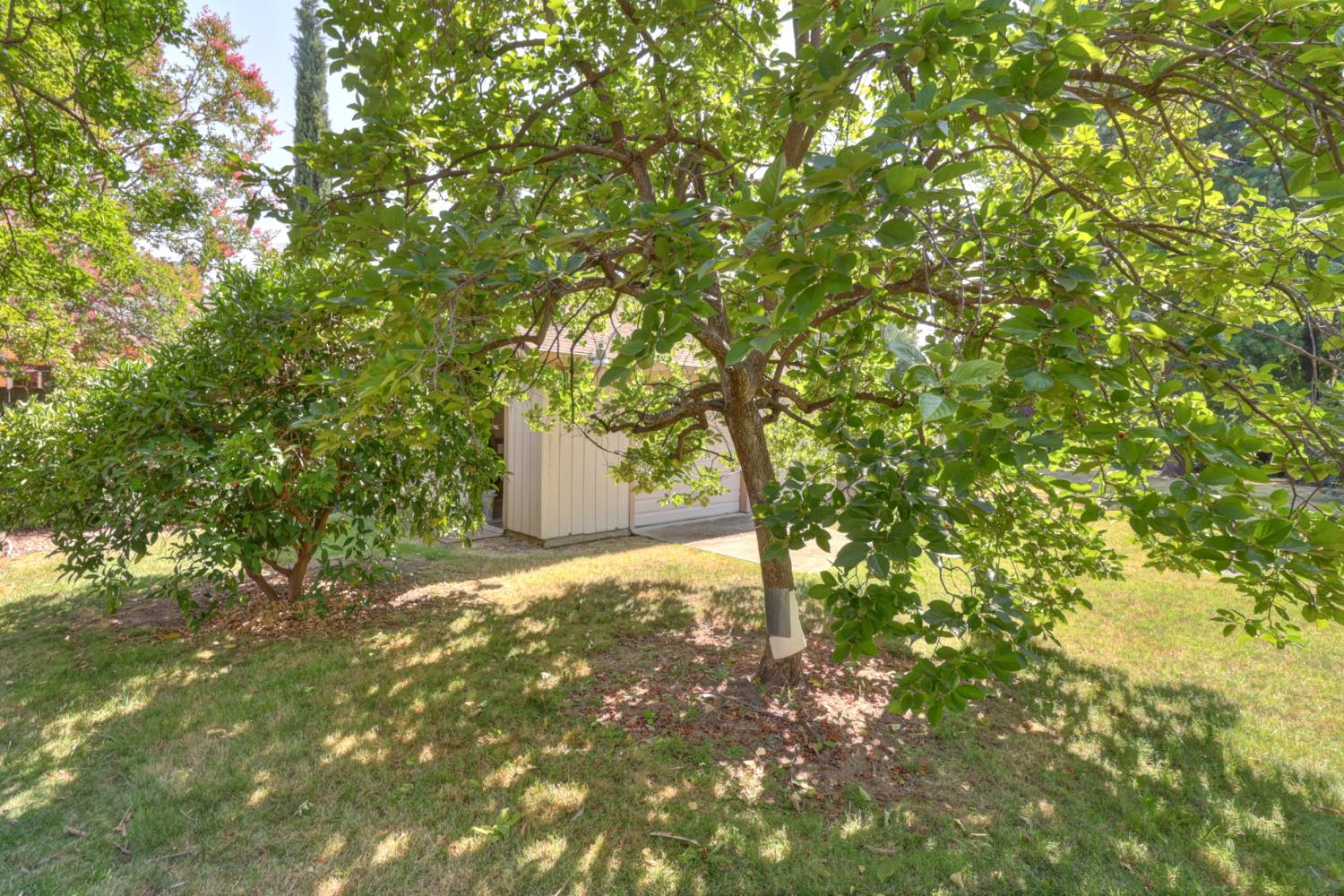 Detail Gallery Image 57 of 95 For 7919 Wonder St, Citrus Heights,  CA 95610 - 4 Beds | 2/1 Baths