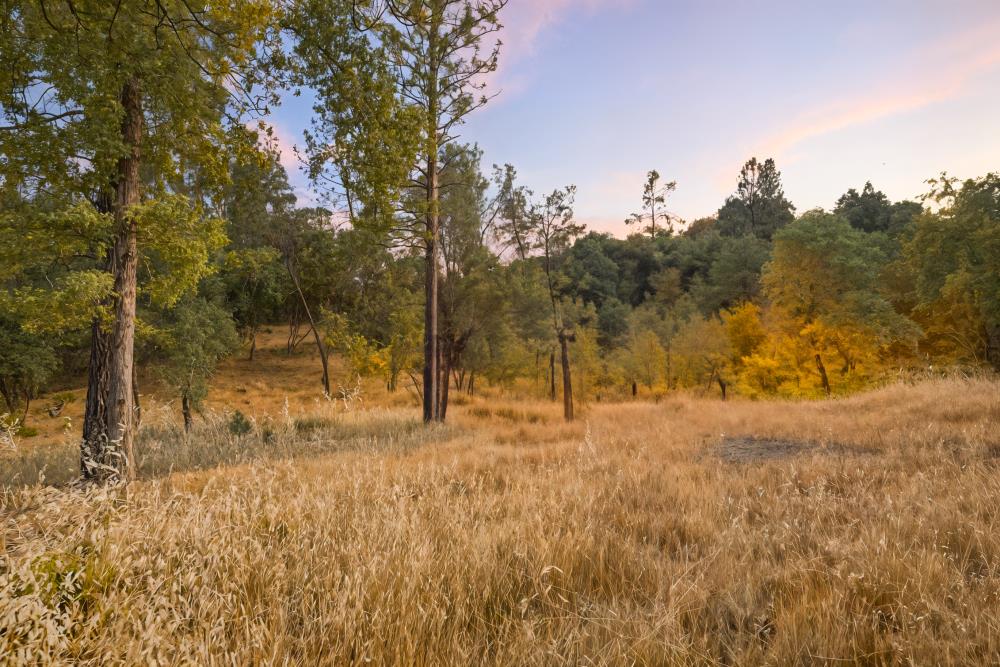 Detail Gallery Image 14 of 29 For 2660 Sleepy Hollow Dr, Shingle Springs,  CA 95682 - – Beds | – Baths