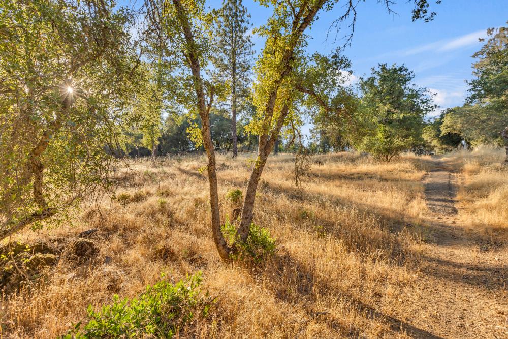Detail Gallery Image 19 of 29 For 2660 Sleepy Hollow Dr, Shingle Springs,  CA 95682 - – Beds | – Baths