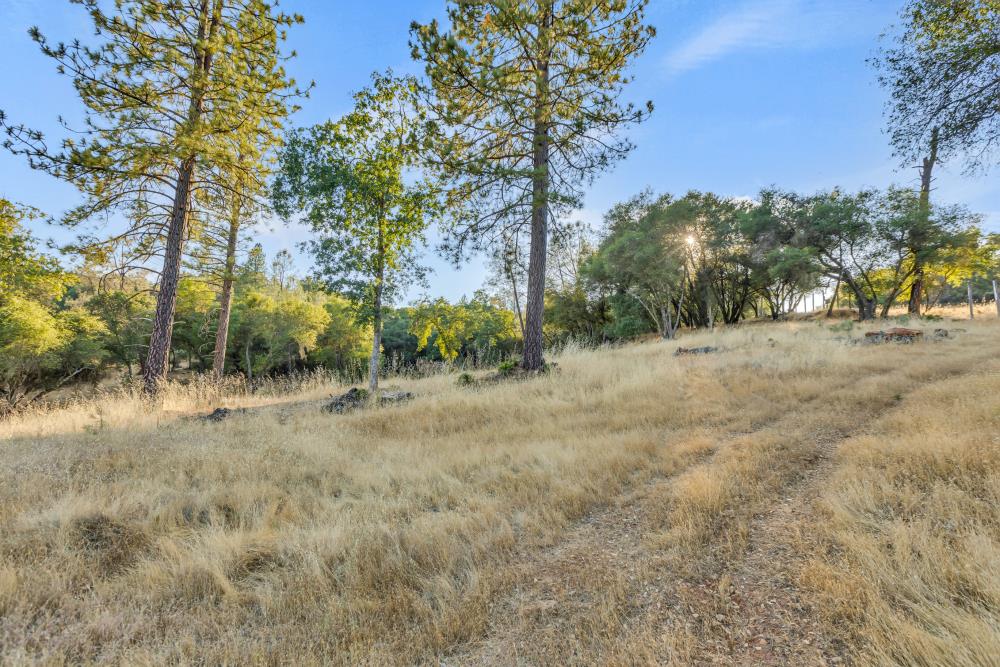 Detail Gallery Image 23 of 29 For 2660 Sleepy Hollow Dr, Shingle Springs,  CA 95682 - – Beds | – Baths