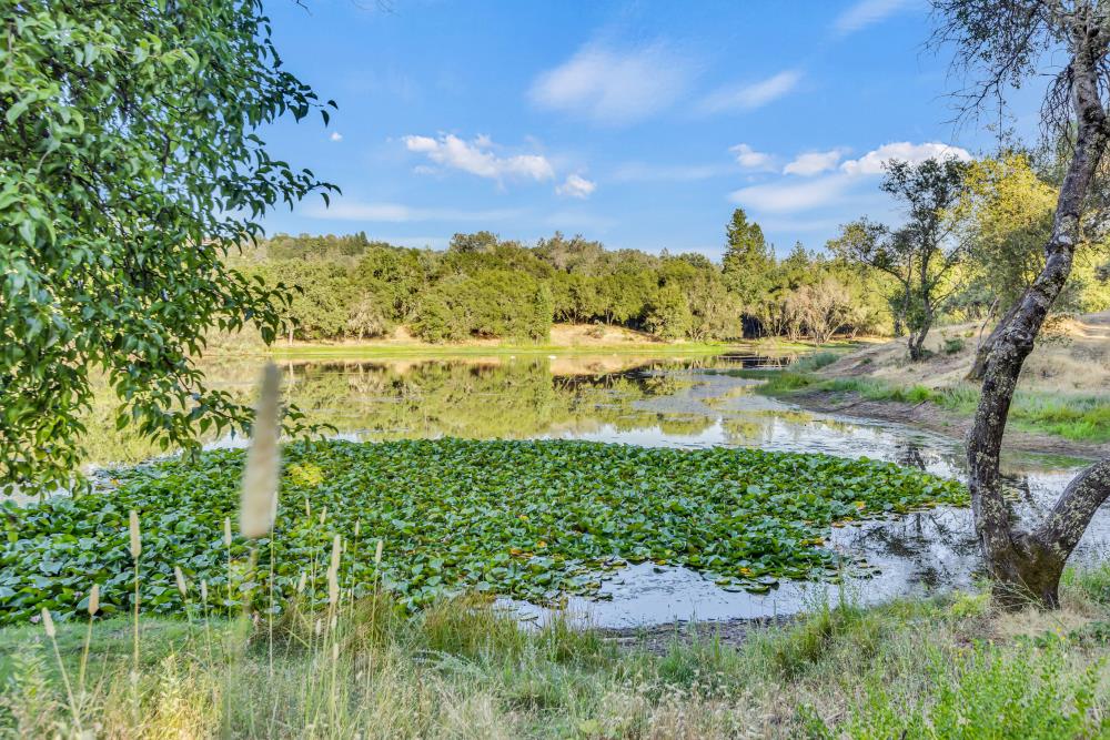 Detail Gallery Image 8 of 29 For 2660 Sleepy Hollow Dr, Shingle Springs,  CA 95682 - – Beds | – Baths