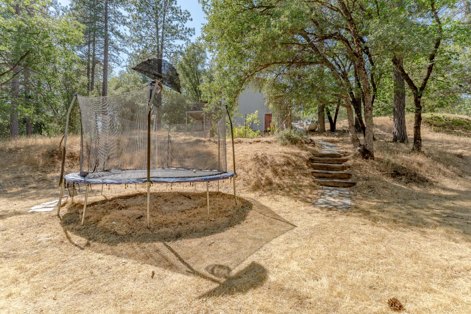Detail Gallery Image 40 of 68 For 3980 Donner Trl, Placerville,  CA 95667 - 3 Beds | 2 Baths